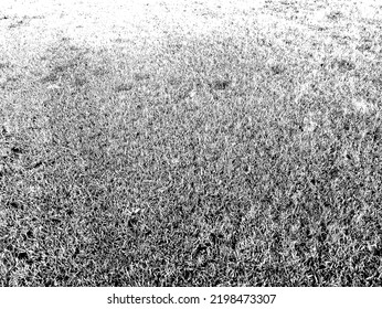 Resumen de la superficie del campo grueso artístico estrangulado de fondo y textura vectorial de grano superpuesto. 