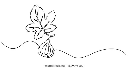 Abstract fig fruit with leaves, Continuous one line drawing isolated on white background, Continuous one single minimal line drawing Figs fruit, Single one line drawing whole healthy organic figs pro.