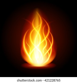 Abstract fire flame light on black background vector illustration. Burning flames translucent elements special Effect.