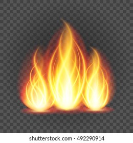 Abstract fire flame light on black background vector illustration. Burning flames translucent elements special Effect.