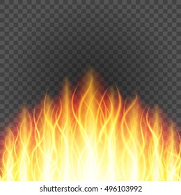 Abstract fire flame light on black background vector illustration. Burning flames translucent elements special Effect.