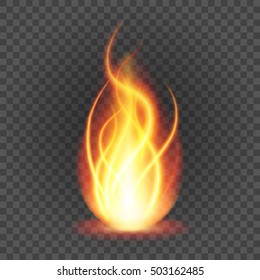 Abstract fire flame light on black background vector illustration. Burning  translucent elements special Effect.