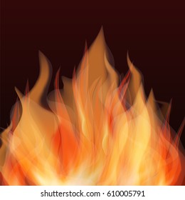 Abstract fire flame vector background