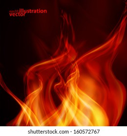 Abstract fire flames on a black background. Colorful vector illustration eps10