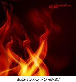 Abstract fire flames on a black background. Colorful vector illustration eps10