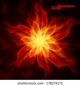 Abstract fire flames on a black background. Colorful vector illustration eps10