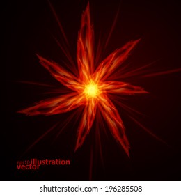 Abstract fire flames on a black background. Colorful vector illustration eps10