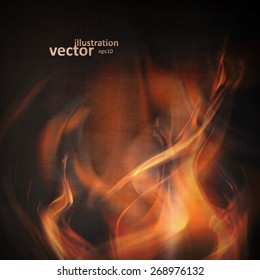 Abstract fire flames on a black background. Colorful vector illustration eps10