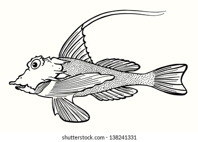Abstract fish, hand drawn vector illustration