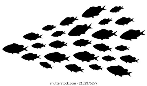 Abstract fish school in silhouette style. Underwater life