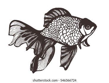 Abstract fish sketch, hand drawing, vector illustration, coloring book. Decorative handmade element, tattoo, painting, print, black and white image, monochrome