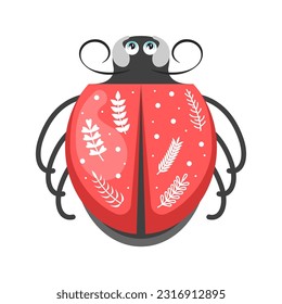 Abstract Flat Cartoon Animal Insect Ladybug Vector Design Style Elements Fauna Wildlife