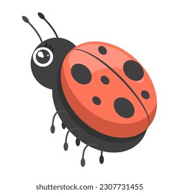 Abstract Flat Cartoon Different Animal Insect Ladybug Stand, Fly Vector Design Style Elements Fauna Wildlife