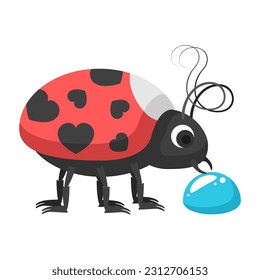 Abstract Flat Cartoon Different Animal Insect Ladybug With Water Drop Vector Design Style Elements Fauna Wildlife