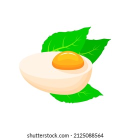 Abstract Flat Fast Food Egg With Yolk And Herbs Meal Background Vector Design Style Cooking, Breakfast