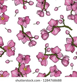 Abstract Fllower drawing. Realistic orchid isolated seamless flower pattern. Vintage set. Wallpaper. Hand drawn. Vector illustration.