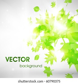 abstract flora background