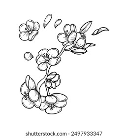 Abstract floral art. Botanical sketches. a drawing of a flower with the word  spring  on it.
