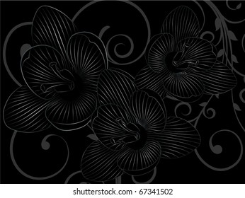 Abstract floral background.