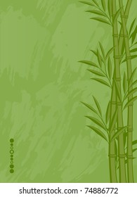 Abstract floral background with a bamboo. Vector illustration.