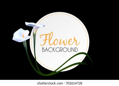 Abstract Floral Background with Calla Flower. Vector Illustration EPS10
