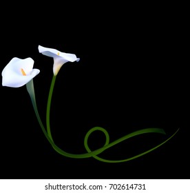 Abstract Floral Background with Calla Flower. Vector Illustration EPS10