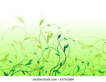 Abstract floral background, element for design.