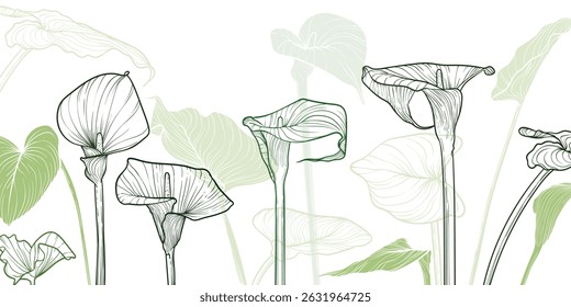 Abstract floral background with green line art of calla lily flowers and leaves. Hand drawn calla flowers background and pattern frame. Vector design of card, banner, invitation and packaging