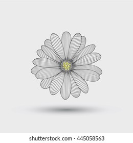 Abstract floral background. Hand drawing flower chamomile .Element for design.