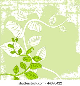 abstract floral background with place for your text