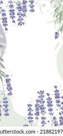 Abstract floral background, social media stories template with plants. Elegant herbs and shapes, pastel colors. Space for text
