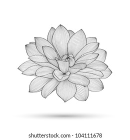 Abstract floral background. Vector flower dahlia. Element for design.
