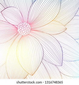 Abstract floral background. Vector flower dahlia close-up bright, saturated and rainbow. Vector element for design.
