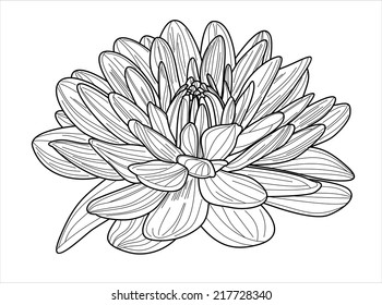 Abstract floral background. Vector flower dahlia.