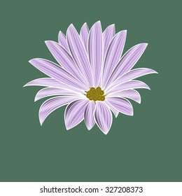 Abstract floral background. Vector flower . Element for design.