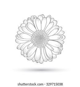 Abstract floral background. Vector flower gerbera. Element for design.