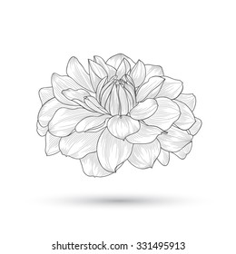 Abstract floral background. Vector flower dahlia. Element for design.