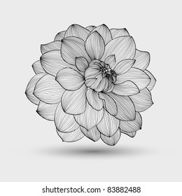 Abstract floral  background. Vector flower dahlia. Element for design.