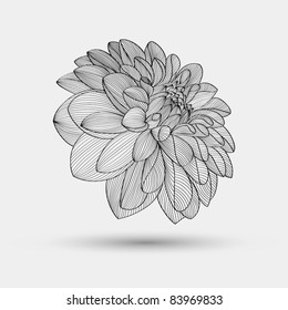 Abstract floral background. Vector flower dahlia. Element for design.