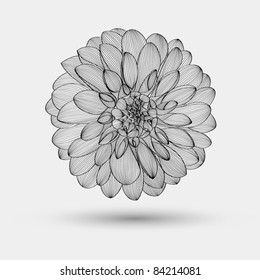 Abstract floral background. Vector flower dahlia. Element for design.