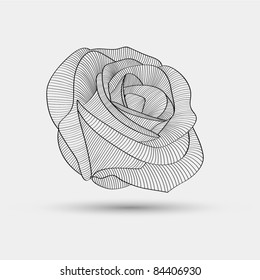 Abstract floral background. Vector flower rose.  Floral element for design.