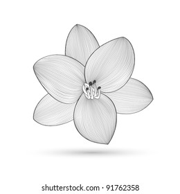 Resumen del fondo floral. Flor vectorial. Elemento para el diseño.