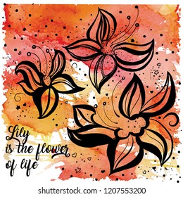 abstract floral background. Vector illustration. Flowers Lily. Hand drawing