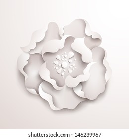 Abstract floral background. White paper flower. Vector design