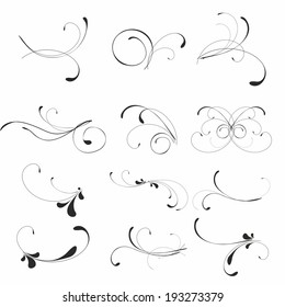 abstract floral black patterns on white backdrop