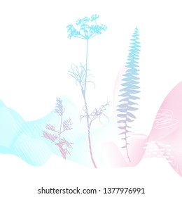 Abstract floral botanical background. Realistic herbs, flowers, plants in pastel colors with doodles , texture and gradient ribbon in pastel colors on white background.