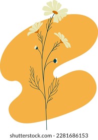 Abstract floral composition with daisies. Perfect for social media highlights.