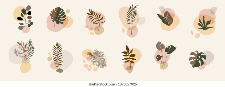 Abstract floral compositions. Boho story templates. Fluid organic shapes, neutral colors. Bohemian exotic leaf prints. Mid Century Modern design. Vector leaves illustration