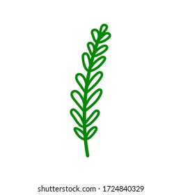Resumen de elementos decorativos florales - hierba o helecho de color verde. Ilustración vectorial aislada en fondo blanco para logotipo o icono.