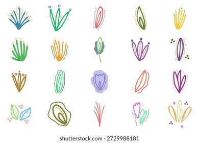Conjunto de Colección de Elementos florales Abstractas